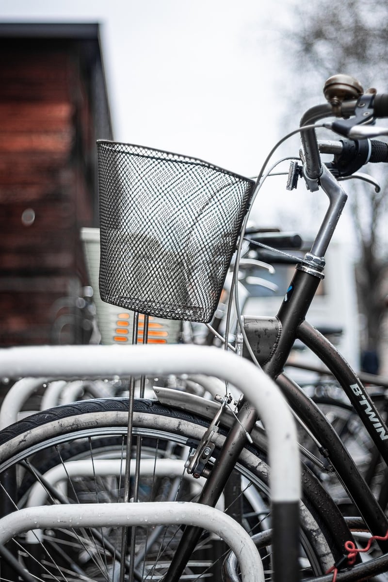 Bicycle Wheel Trellis